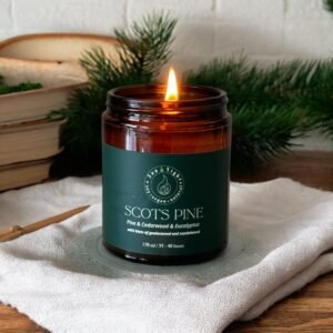 pine_forest_soy_candle